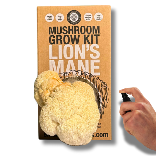 Lions Mane Mushroom Grow Kit