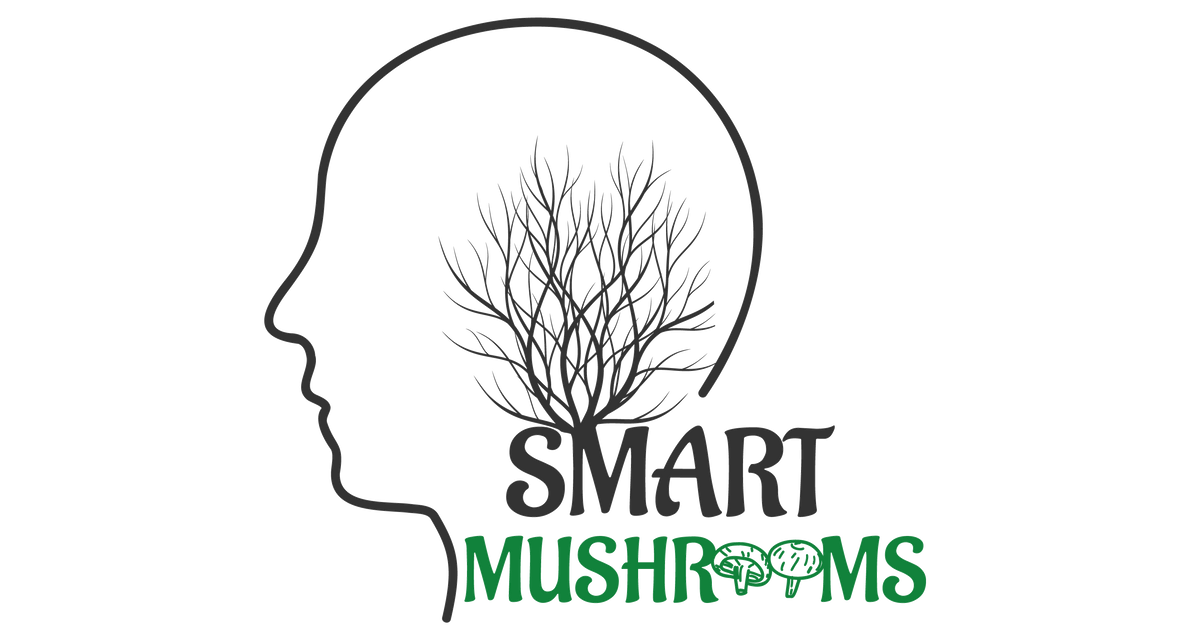 Can Lions Mane Improve Memory, Focus and ADHD? – Smart Mushrooms