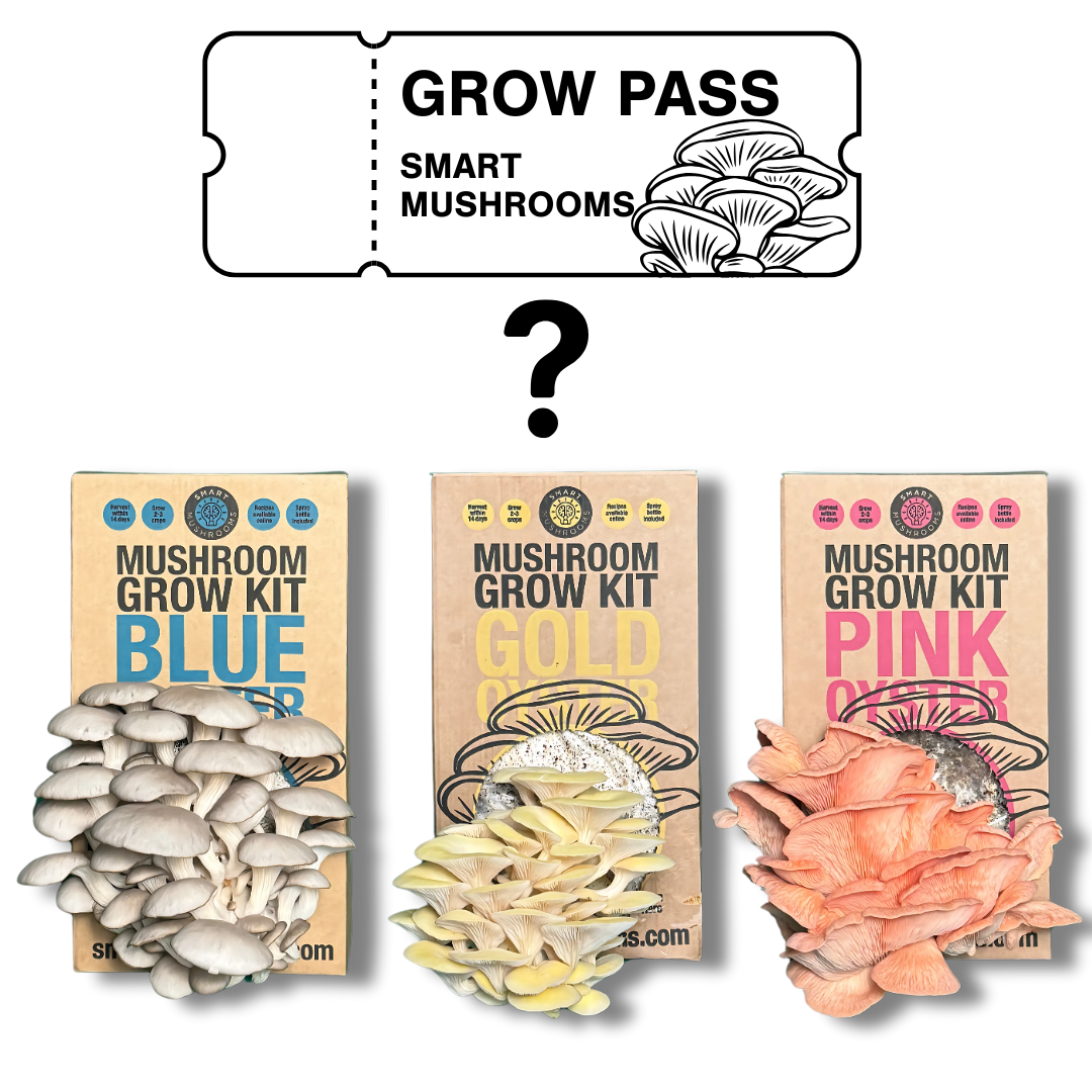 Smart Mushrooms Grow Pass