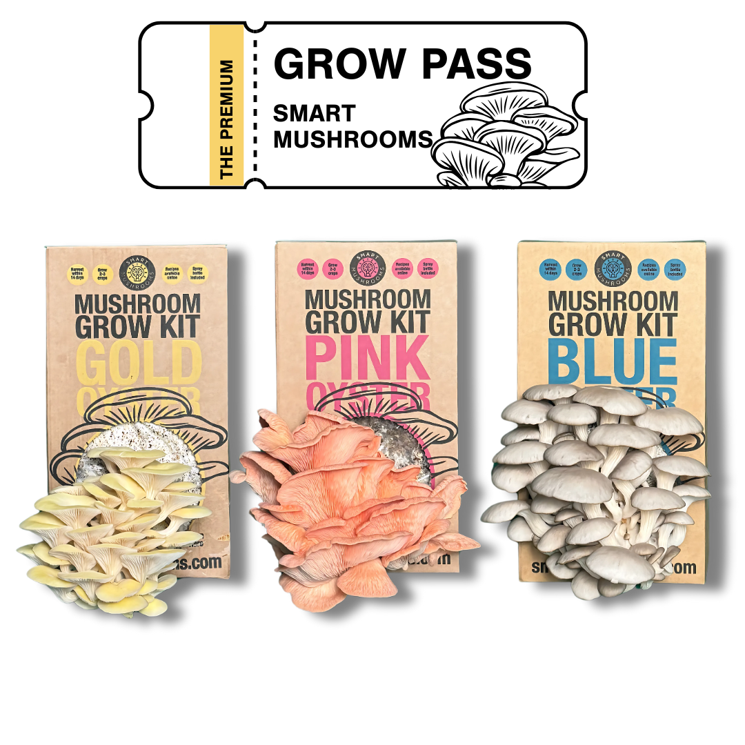 Smart Mushrooms Grow Pass