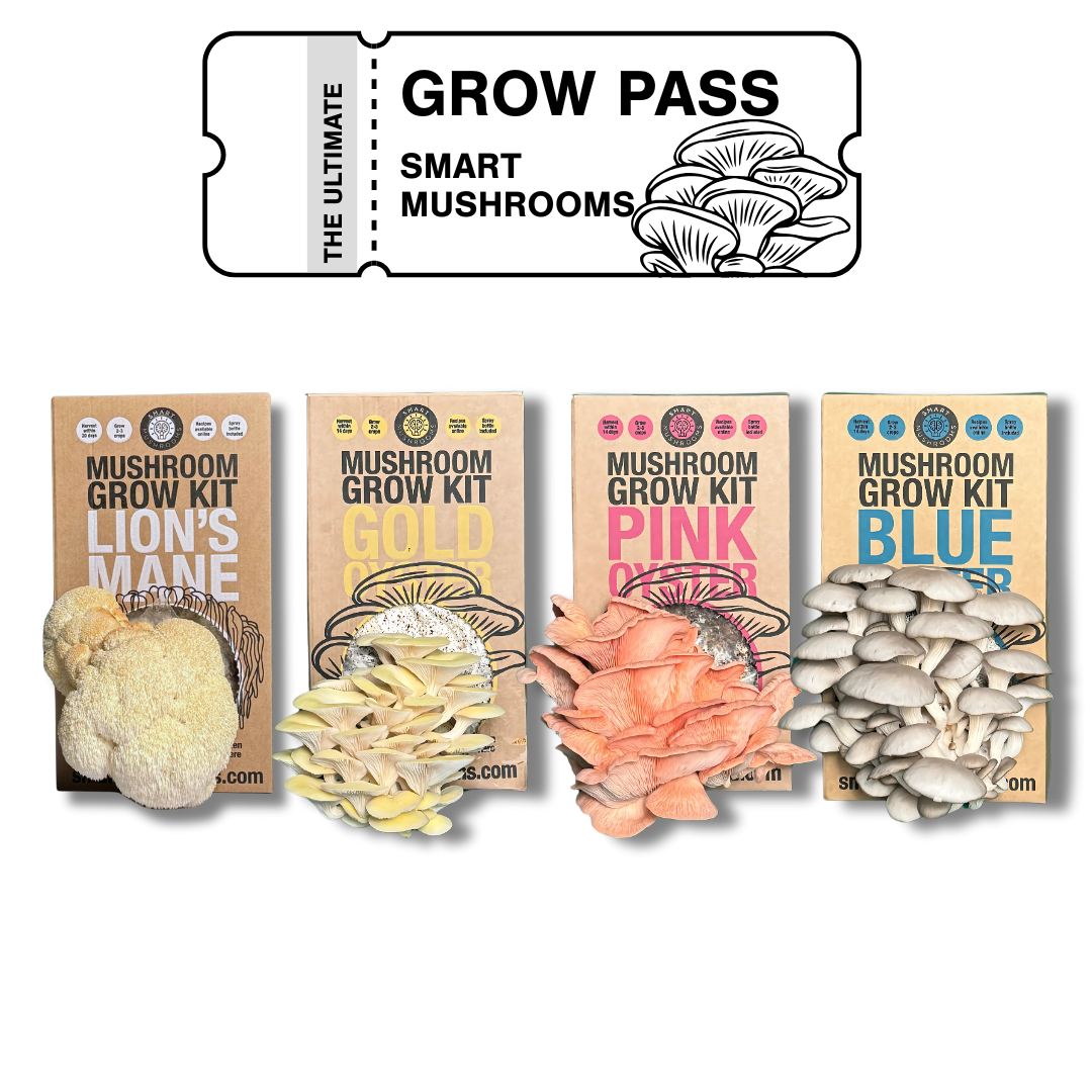 Smart Mushrooms Grow Pass