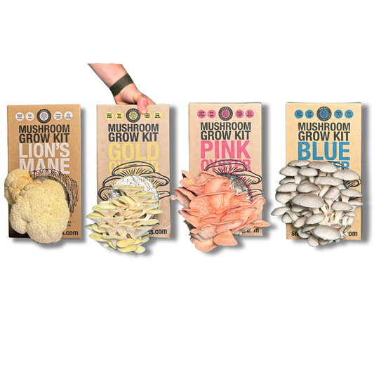 Mushroom Grow Kit